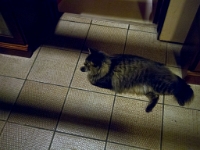 OM-D Test P033 Hermes at night-hallway